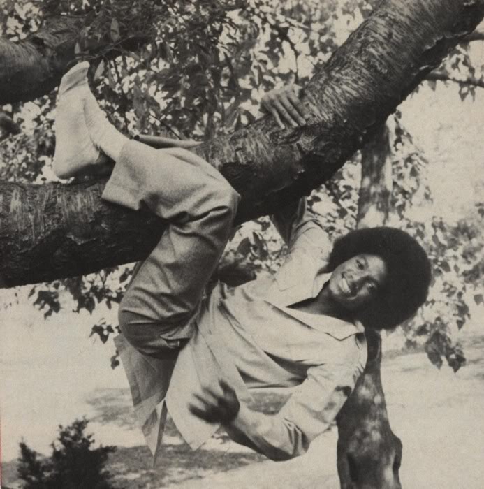 Michael-climbing-tree.jpg